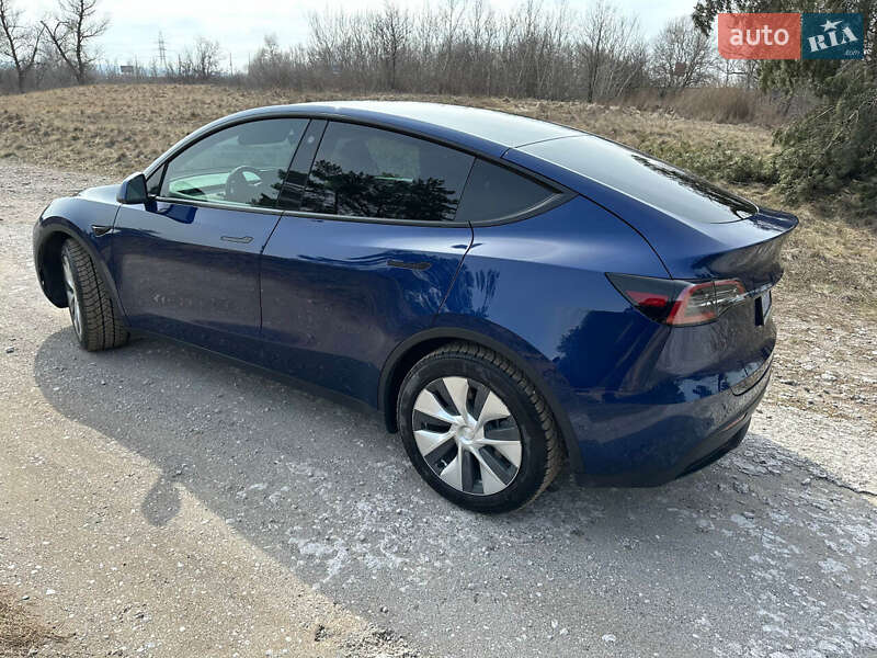 Позашляховик / Кросовер Tesla Model Y 2021 в Кам'янському