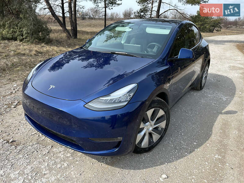 Позашляховик / Кросовер Tesla Model Y 2021 в Кам'янському