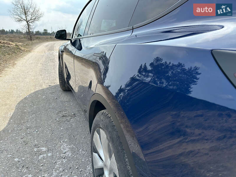 Позашляховик / Кросовер Tesla Model Y 2021 в Кам'янському