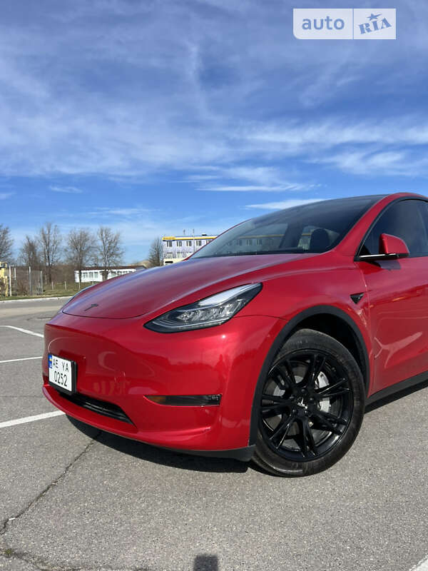 Внедорожник / Кроссовер Tesla Model Y 2023 в Днепре