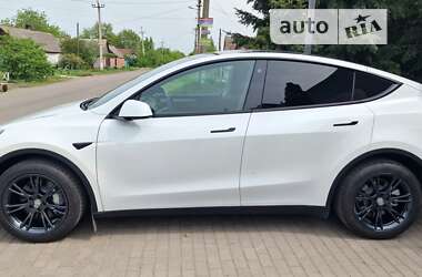 Внедорожник / Кроссовер Tesla Model Y 2023 в Днепре