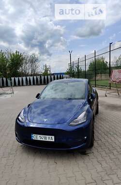 Внедорожник / Кроссовер Tesla Model Y 2022 в Черновцах