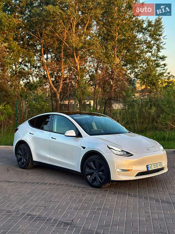 Позашляховик / Кросовер Tesla Model Y 2020 в Дніпрі