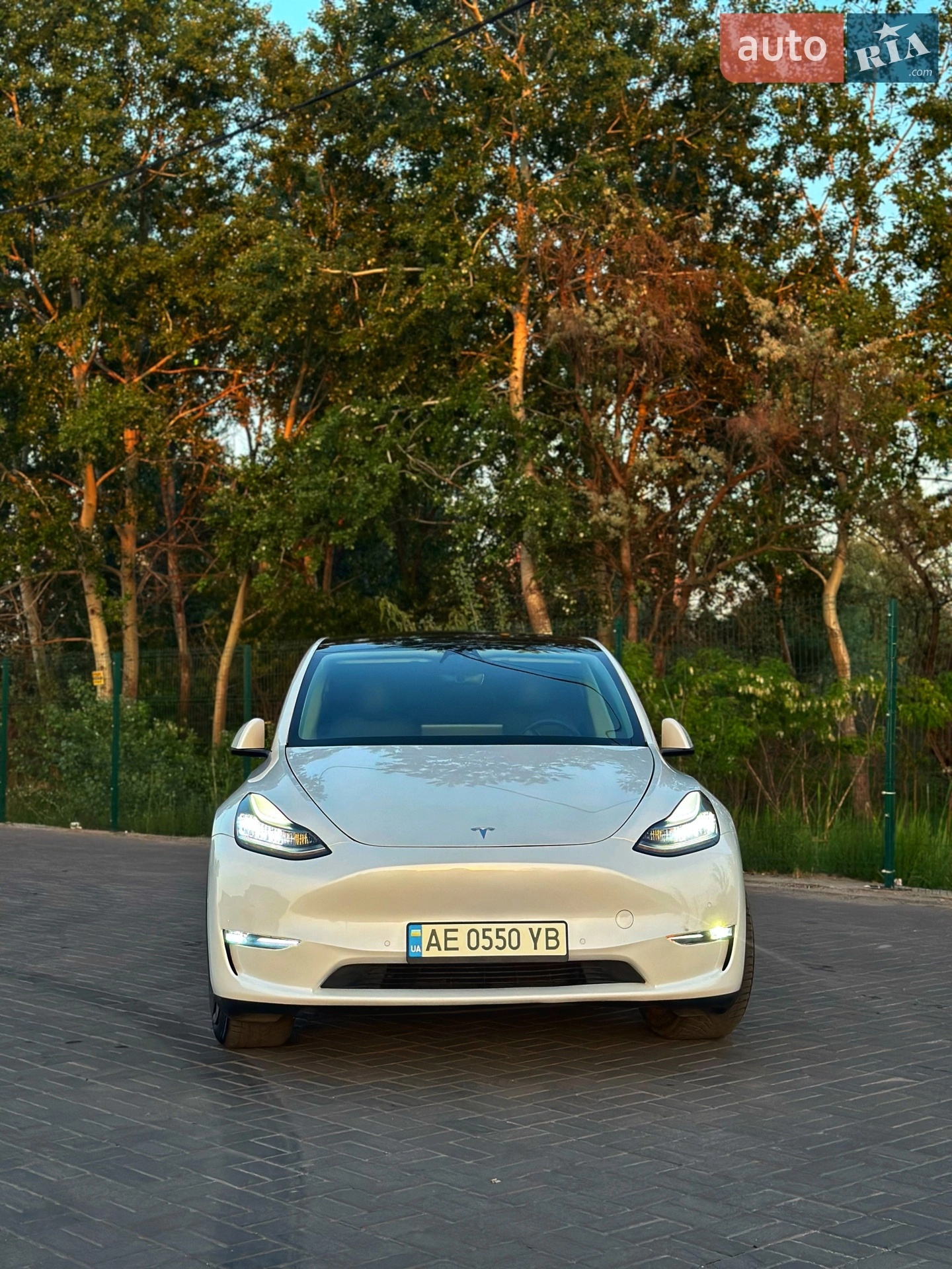 2020 Tesla Model Y - мініатюра 10