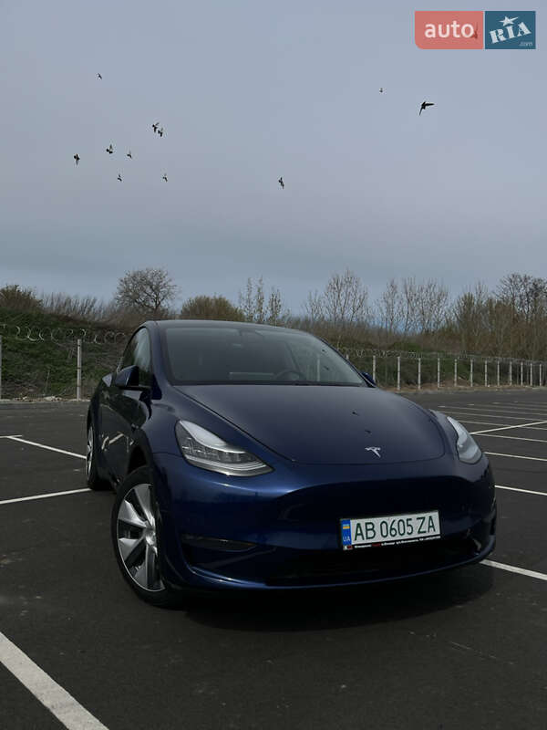 Внедорожник / Кроссовер Tesla Model Y 2020 в Виннице