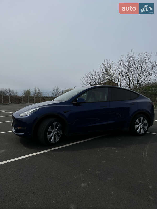 Внедорожник / Кроссовер Tesla Model Y 2020 в Виннице