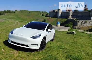 Внедорожник / Кроссовер Tesla Model Y 2020 в Каменец-Подольском