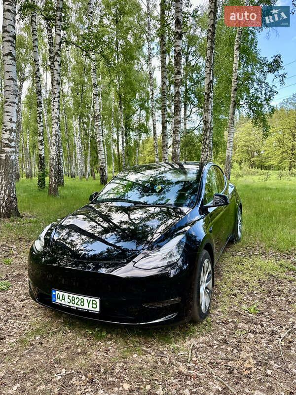 Внедорожник / Кроссовер Tesla Model Y 2022 в Чернигове