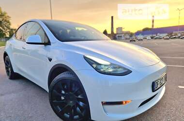 Внедорожник / Кроссовер Tesla Model Y 2023 в Житомире