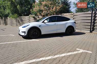 Позашляховик / Кросовер Tesla Model Y 2020 в Києві