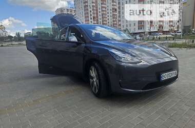 Позашляховик / Кросовер Tesla Model Y 2021 в Тернополі