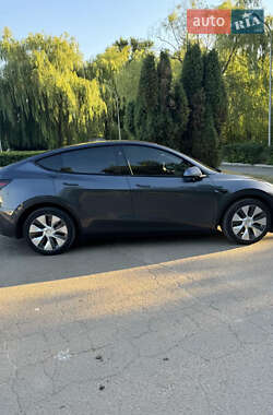 Внедорожник / Кроссовер Tesla Model Y 2023 в Днепре
