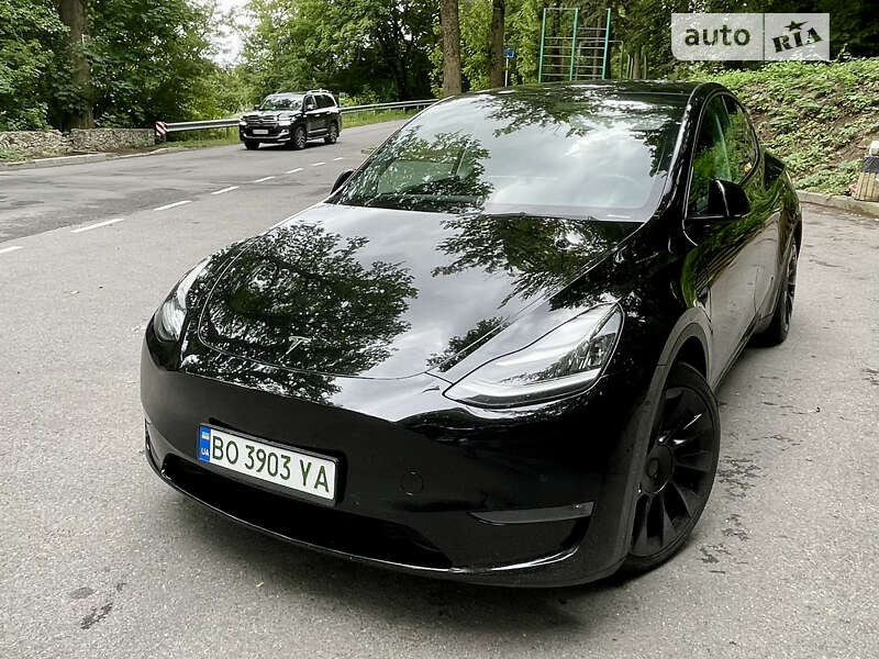 Внедорожник / Кроссовер Tesla Model Y 2020 в Тернополе