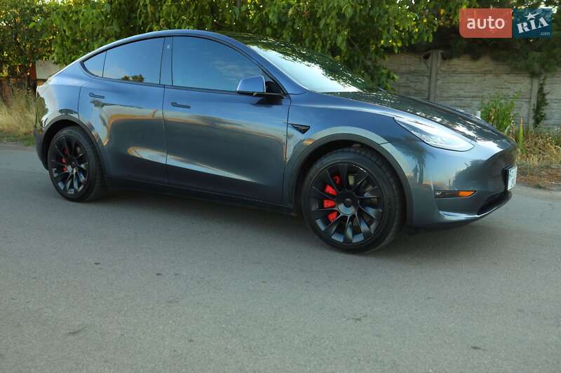 Внедорожник / Кроссовер Tesla Model Y 2021 в Кривом Роге