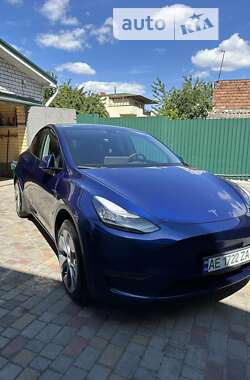 Внедорожник / Кроссовер Tesla Model Y 2020 в Днепре