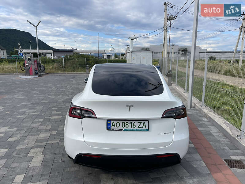 Позашляховик / Кросовер Tesla Model Y 2021 в Хусті