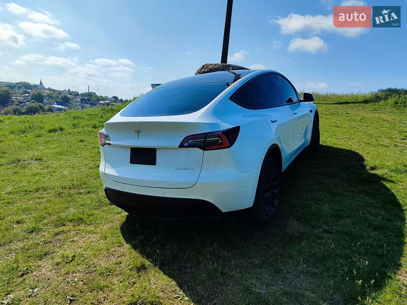Внедорожник / Кроссовер Tesla Model Y 2020 в Каменец-Подольском