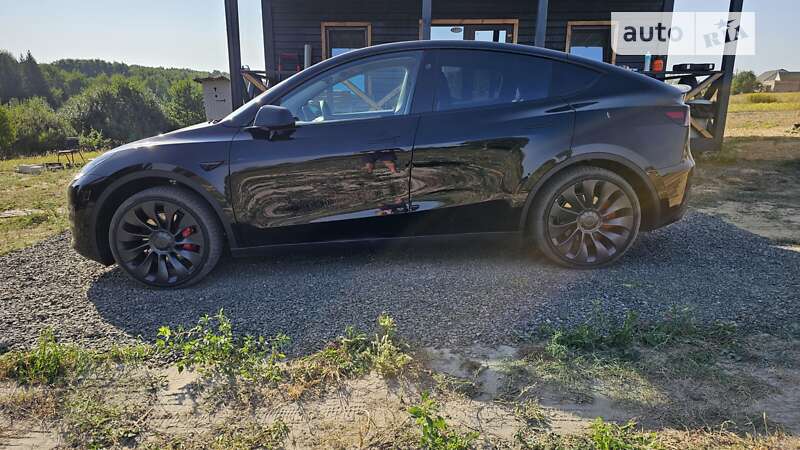Позашляховик / Кросовер Tesla Model Y 2023 в Луцьку