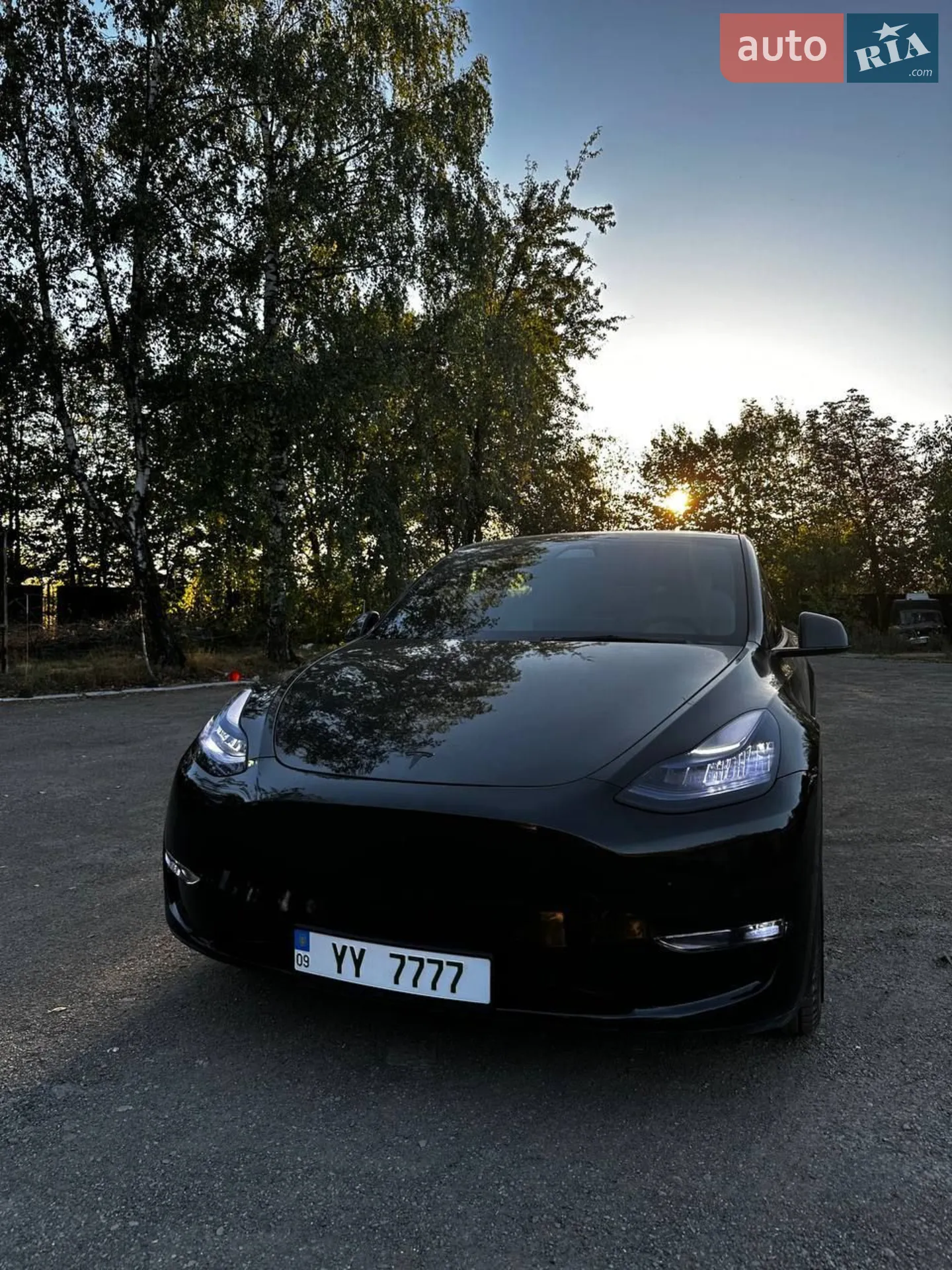 2021 Tesla Model Y - мініатюра 2
