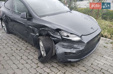 Внедорожник / Кроссовер Tesla Model Y 2021 в Балаклее