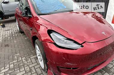 Позашляховик / Кросовер Tesla Model Y 2024 в Луцьку