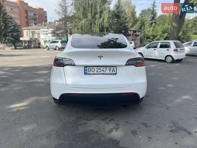 Внедорожник / Кроссовер Tesla Model Y 2020 в Тернополе