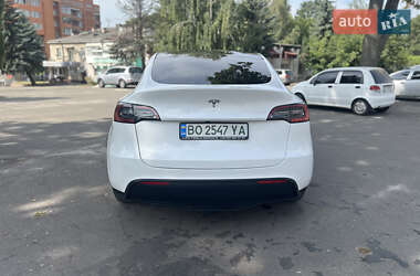 Внедорожник / Кроссовер Tesla Model Y 2020 в Тернополе