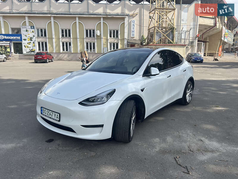 Внедорожник / Кроссовер Tesla Model Y 2020 в Тернополе