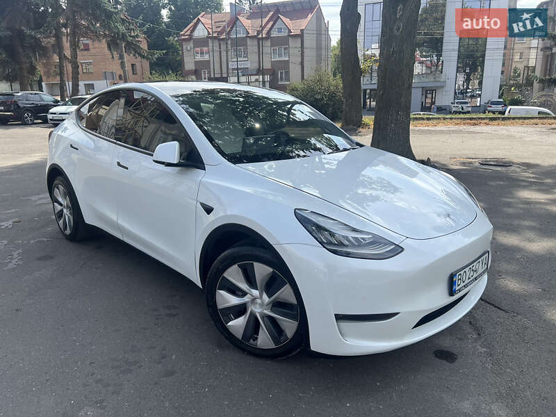 Внедорожник / Кроссовер Tesla Model Y 2020 в Тернополе
