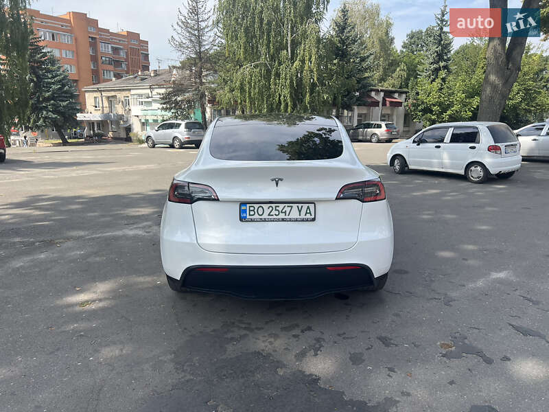 Внедорожник / Кроссовер Tesla Model Y 2020 в Тернополе