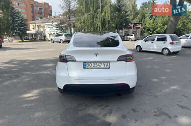 Внедорожник / Кроссовер Tesla Model Y 2020 в Тернополе