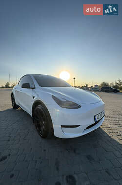 Внедорожник / Кроссовер Tesla Model Y 2023 в Днепре
