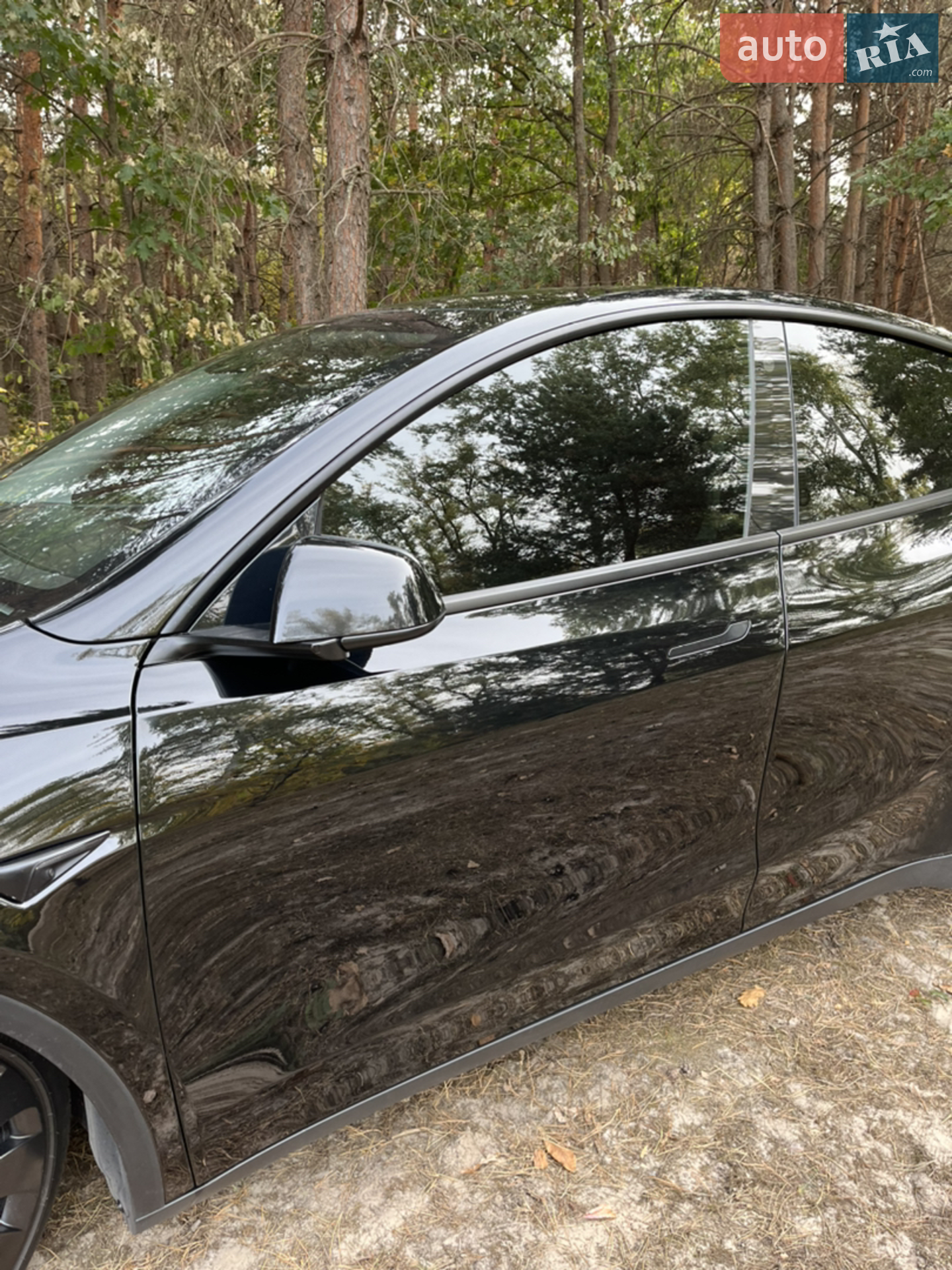 2021 Tesla Model Y - мініатюра 2