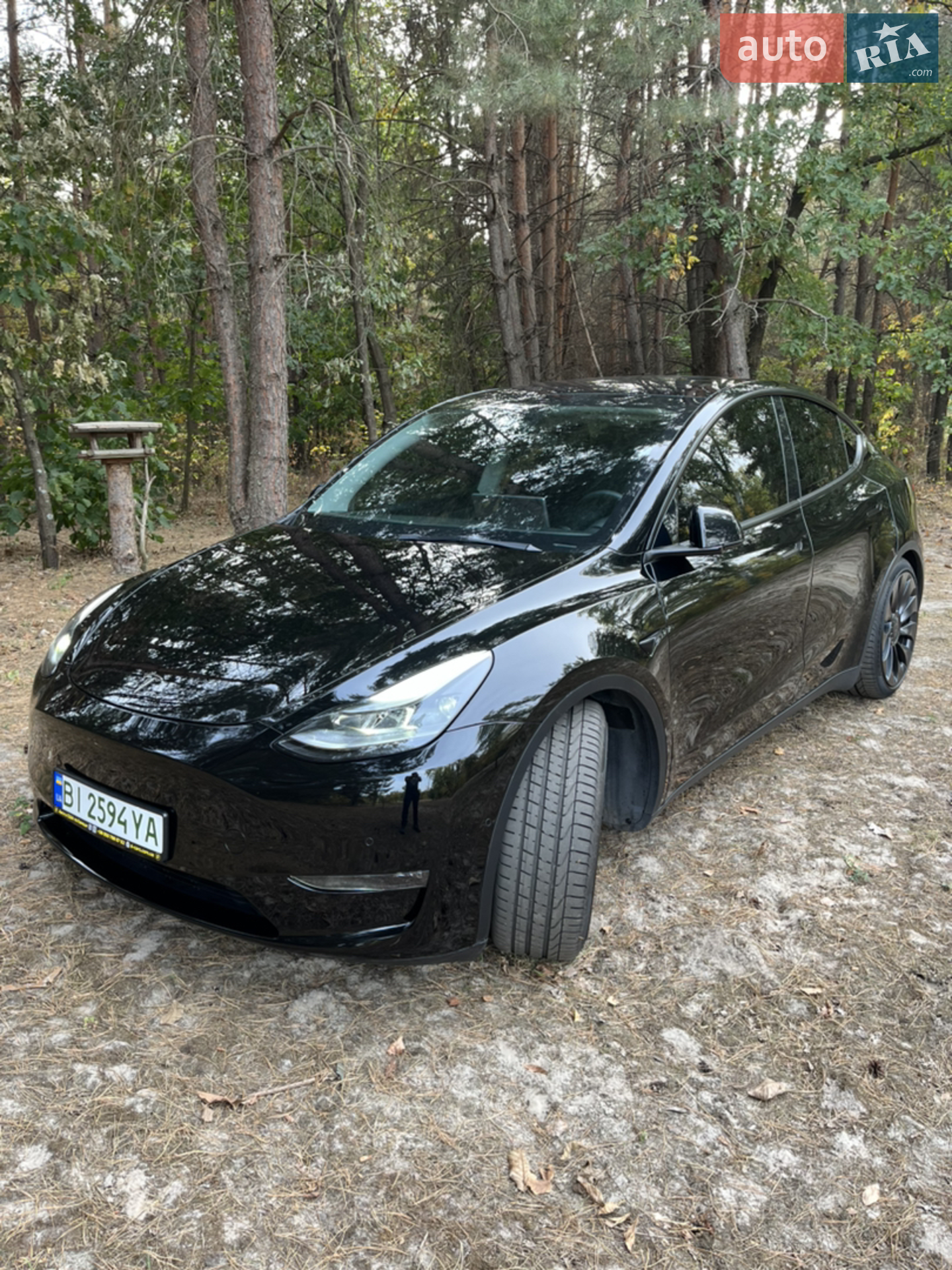 2021 Tesla Model Y - фото 1