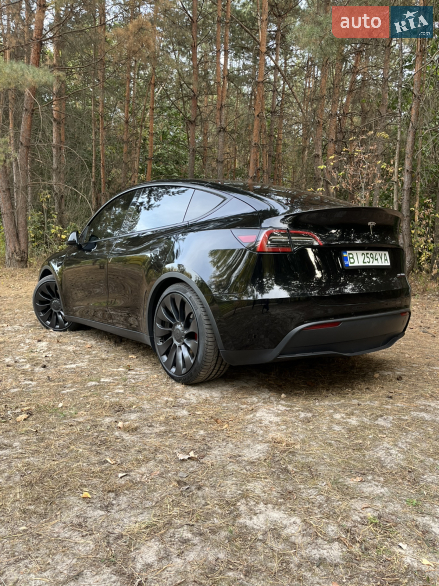 2021 Tesla Model Y - мініатюра 4