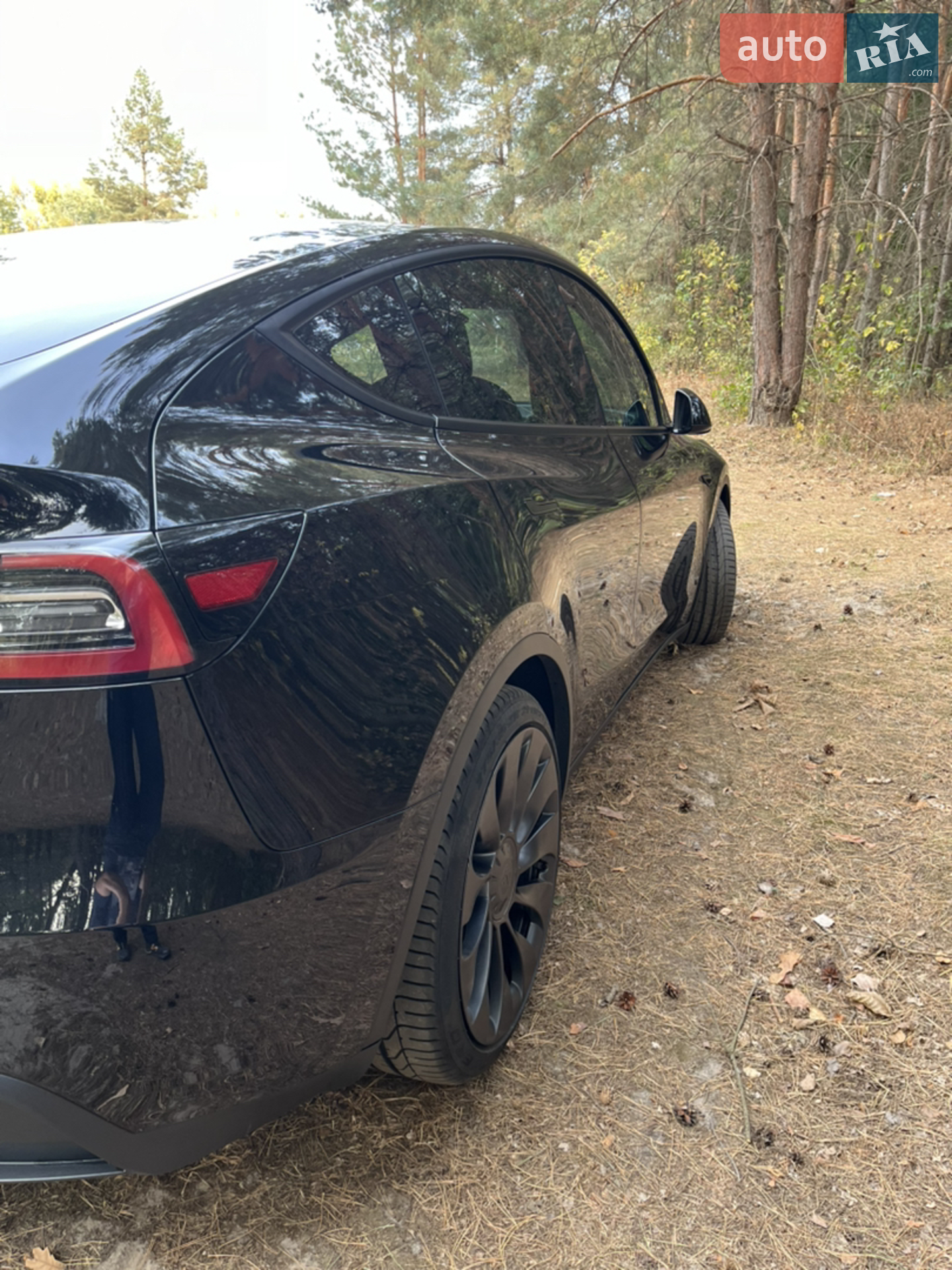 2021 Tesla Model Y - мініатюра 6