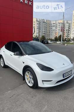 Внедорожник / Кроссовер Tesla Model Y 2023 в Виннице