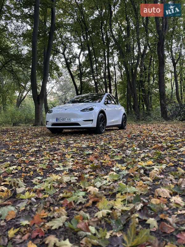 Внедорожник / Кроссовер Tesla Model Y 2022 в Тернополе фото 8 Внедорожник / Кроссовер Tesla Model Y 2022 в Тернополе