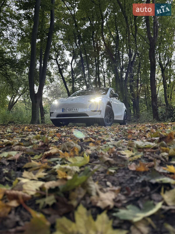 Внедорожник / Кроссовер Tesla Model Y 2022 в Тернополе фото 14 Внедорожник / Кроссовер Tesla Model Y 2022 в Тернополе