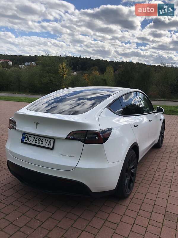Позашляховик / Кросовер Tesla Model Y 2023 в Трускавці