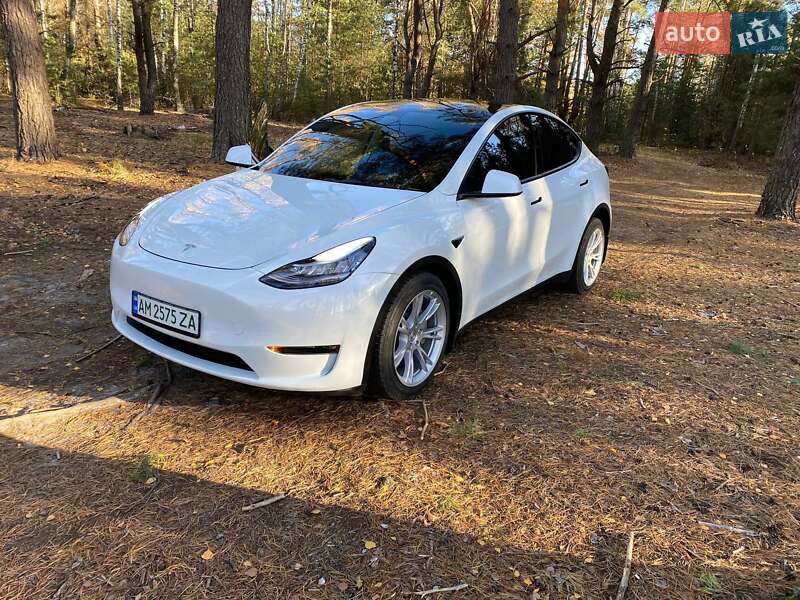 Позашляховик / Кросовер Tesla Model Y 2023 в 