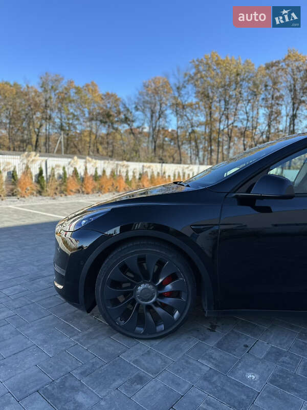 Позашляховик / Кросовер Tesla Model Y 2020 в Луцьку