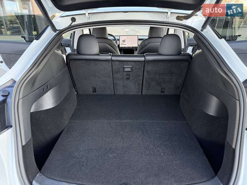 Позашляховик / Кросовер Tesla Model Y 2020 в Дніпрі