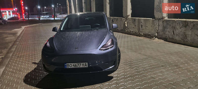 Позашляховик / Кросовер Tesla Model Y 2023 в Тернополі