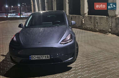 Внедорожник / Кроссовер Tesla Model Y 2023 в 