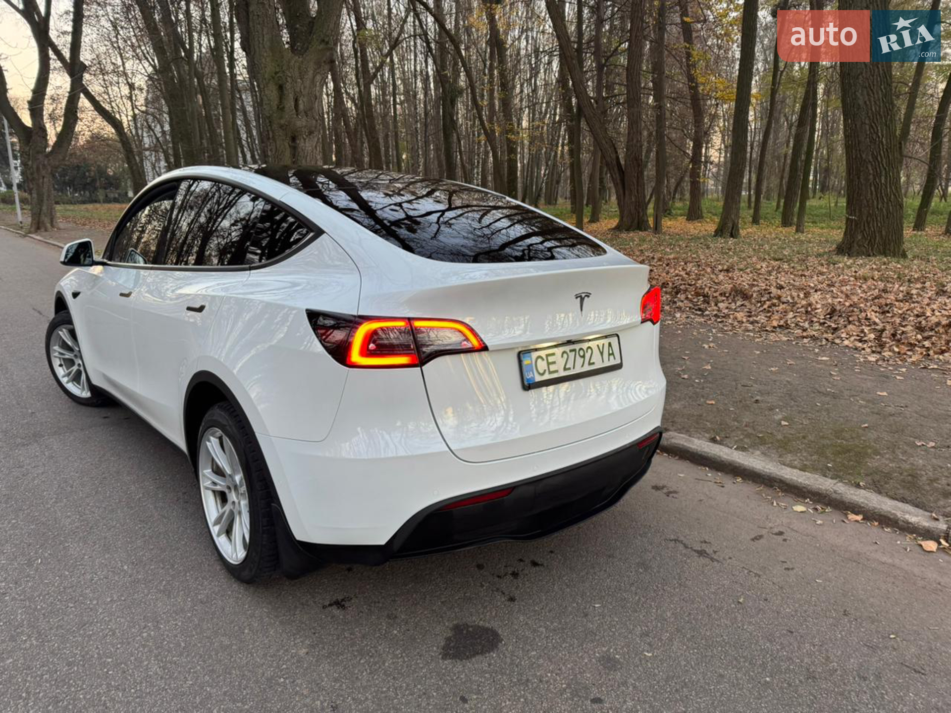2021 Tesla Model Y - мініатюра 2