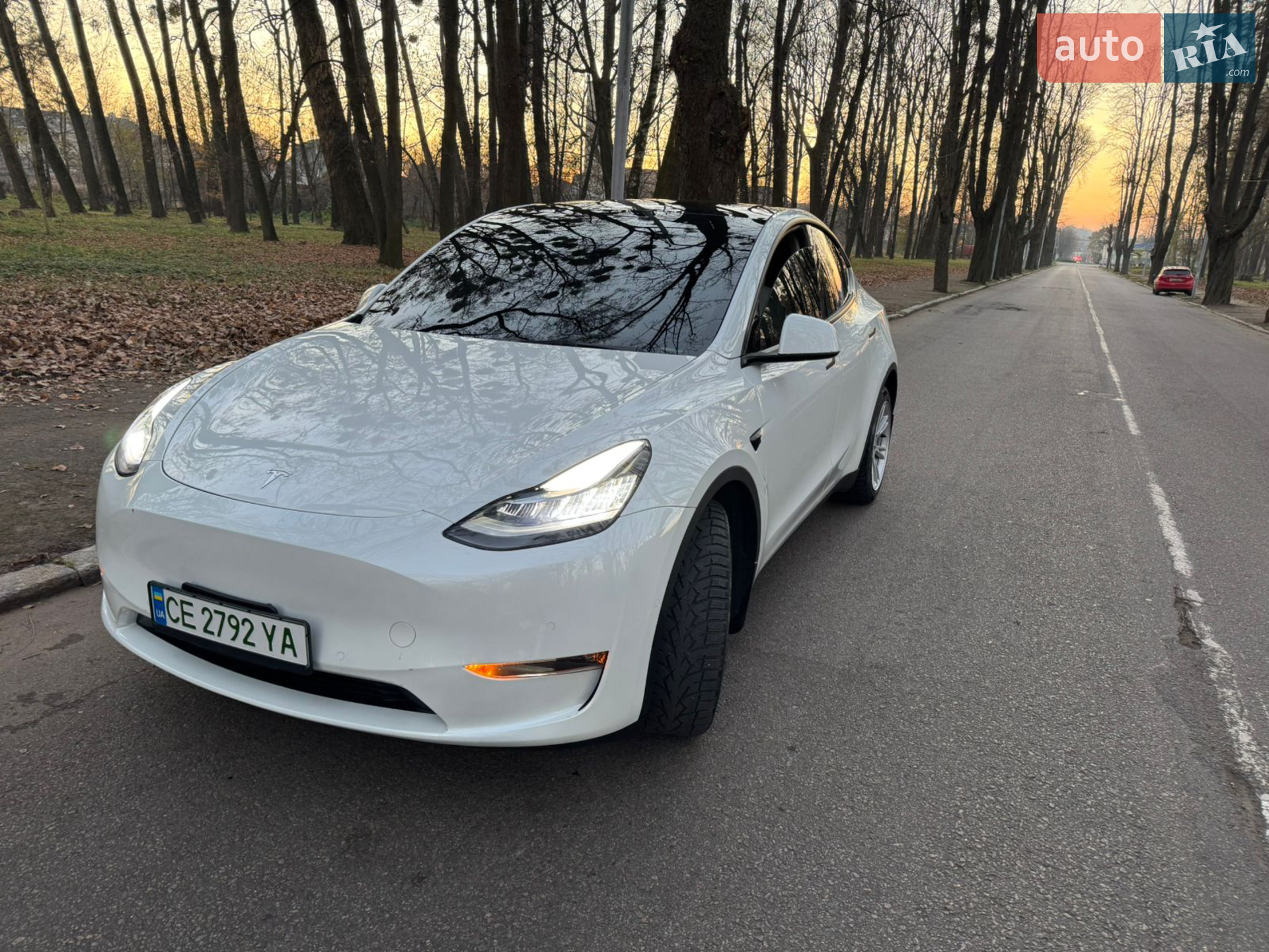 2021 Tesla Model Y - фото 1