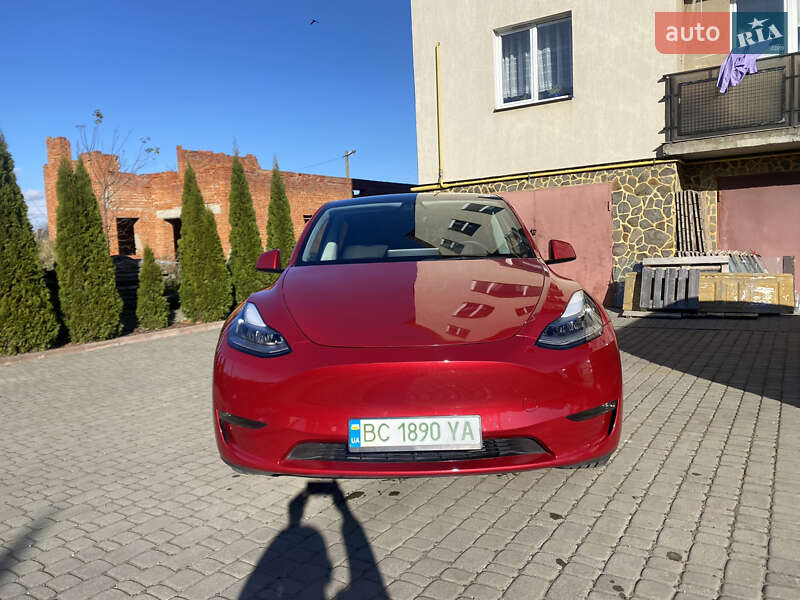Позашляховик / Кросовер Tesla Model Y 2021 в Львові фото 3 Позашляховик / Кросовер Tesla Model Y 2021 в Львові