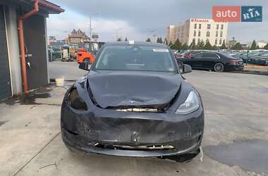 Внедорожник / Кроссовер Tesla Model Y 2024 в Львове