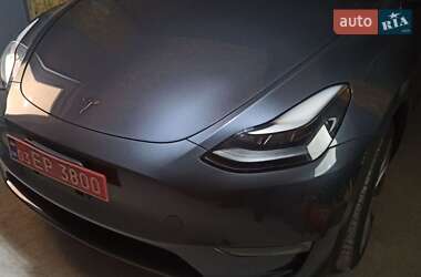 Внедорожник / Кроссовер Tesla Model Y 2023 в Жмеринке
